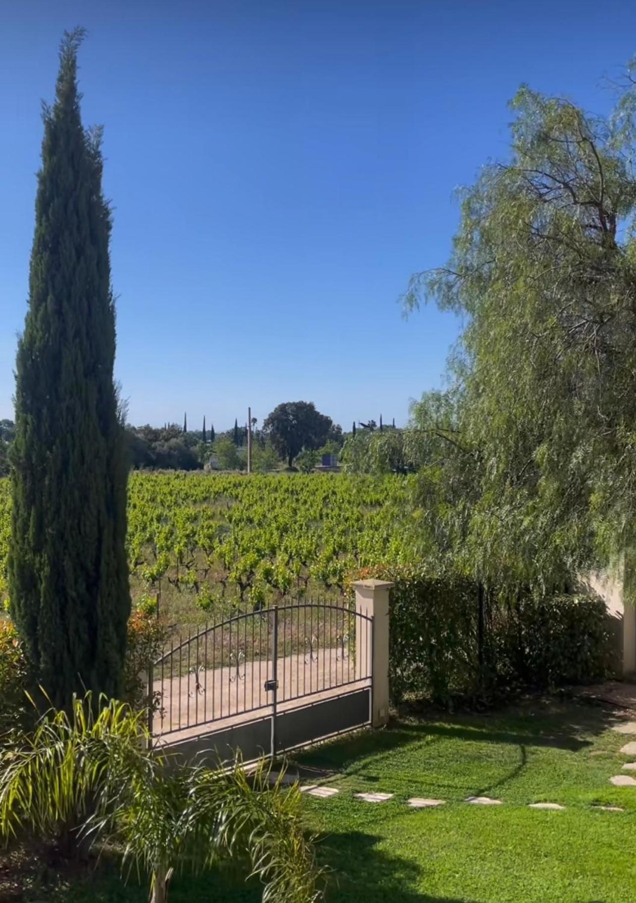 Chateau De La Clapiere Hyères Kültér fotó