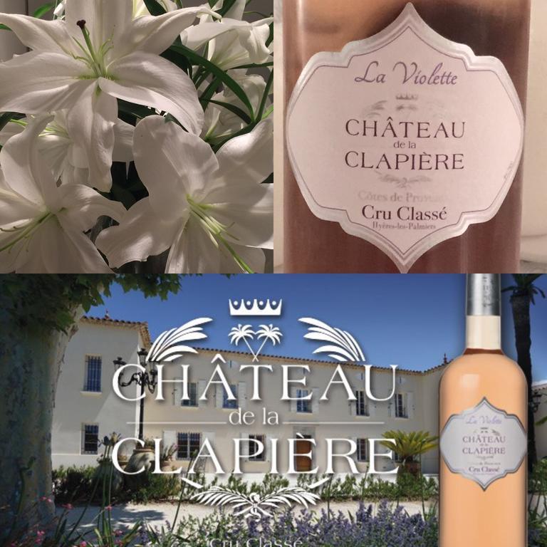Chateau De La Clapiere Hyères Kültér fotó